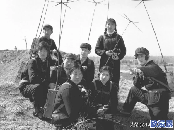 a免费在线：快速获取优质学习资源与工具的最佳平台，助您提高技能与知识水平