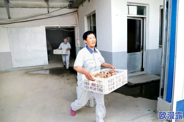 黑又硬的蘑菇头:科学家发现其神奇成分或可用于新型环保材料的研发,令人惊叹! 黑又硬的蘑菇头:科学家发现其神奇成分或可用于新型环保材料的研发,令人惊叹!