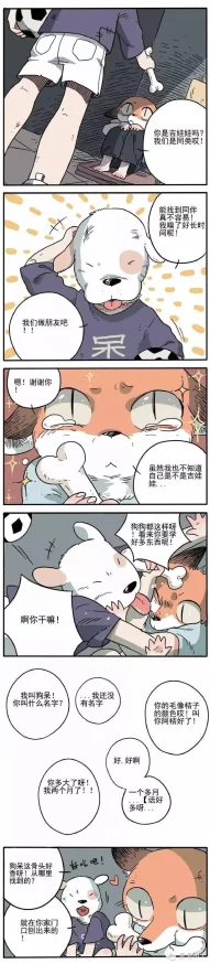 漫漫漫画免费漫画入口页面改装进展:全新界面设计与用户体验优化即将上线,敬请期待! 漫漫漫画免费漫画入口页面改装进展:全新界面设计与用户体验优化即将上线,敬请期待!