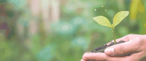 三年免费观看大全：惊人消息揭晓，超300部热门影视作品将免费放送！