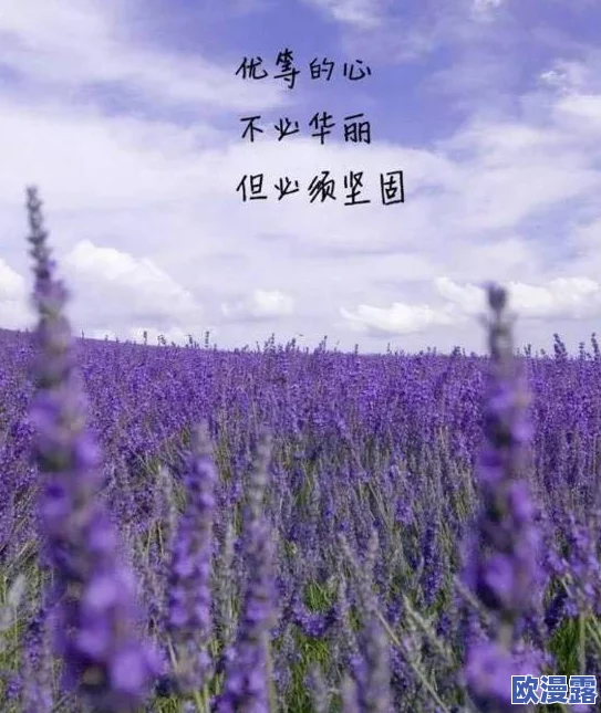 薰衣草网站2024年隐藏入口曝光，用户可解锁惊喜福利，流量激增引发全球关注！