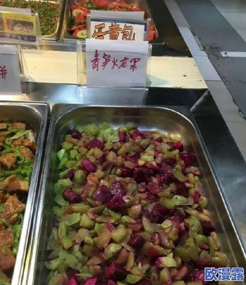 沈阳老阿姨叫的巅峰澎湃:从街头小吃到全国热潮,见证美食文化的传承与创新 沈阳老阿姨叫的巅峰澎湃:从街头小吃到全国热潮,见证美食文化的传承与创新