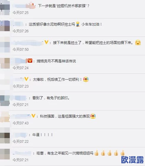 4虎tv换哪个网名了？网友纷纷表示期待新形象，认为更改可能带来新的活力与创意