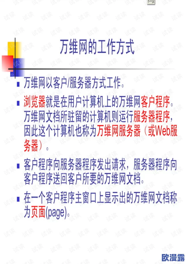 樱花官网官方入门网站知乎：最新功能与用户体验的全面进展分析与讨论