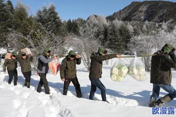 《我的世界》游戏中高效投放与管理食物资源的实用方法