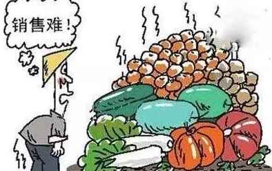 拔萝卜痛又降黄9 1:探讨农村经济发展的挑战与机遇,如何突破传统农业的瓶颈与创新模式 拔萝卜痛又降黄9 1:探讨农村经济发展的挑战与机遇,如何突破传统农业的瓶颈与创新模式