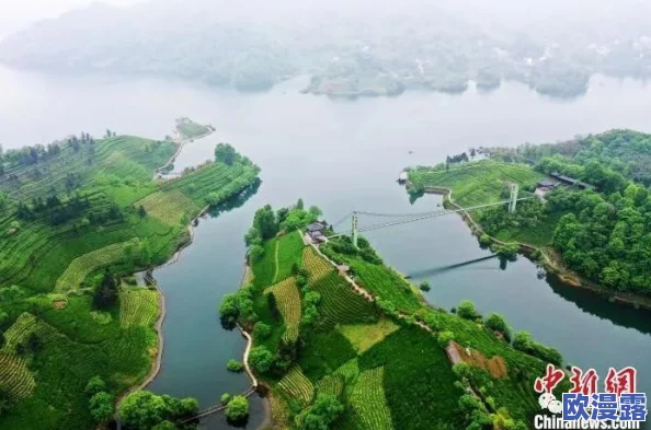 XXXXXL19是多大排量？一场关于排量的新革命即将引发行业震动！