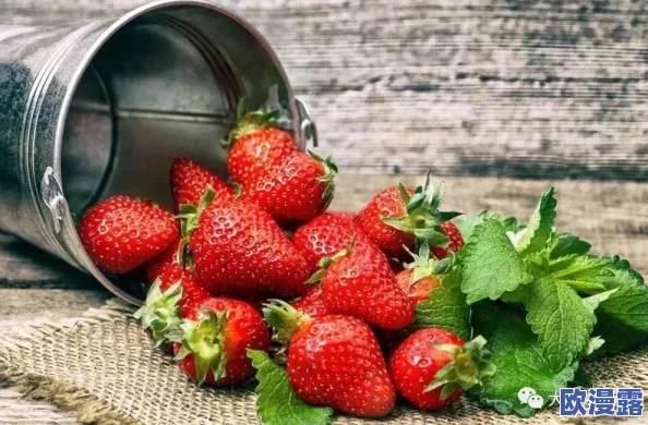 草莓视频草莓视频草莓！惊现非法内容追踪，数百万用户隐私面临泄露风险，紧急呼吁加强安全保护！