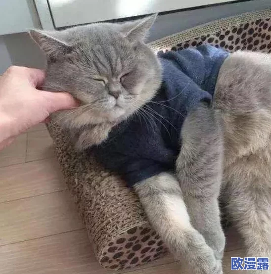 震惊！亲嘴揉胸口激烈视频曝光，引发网友热议，众人纷纷表示无法直视，背后真相令人意外！