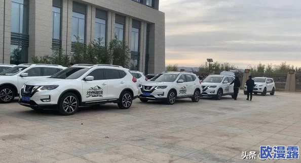 日产精品无人区:网友热议未来出行新选择,期待更多创新与环保技术的结合! 日产精品无人区:网友热议未来出行新选择,期待更多创新与环保技术的结合!