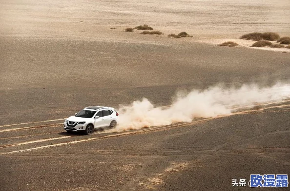 日产精品无人区:网友热议未来出行新选择,期待更多创新与环保技术的结合! 日产精品无人区:网友热议未来出行新选择,期待更多创新与环保技术的结合!