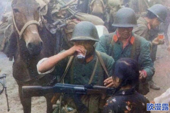 越南战争三片第：震惊！新发现揭示隐藏数十年的秘密，改变我们对历史的认知！