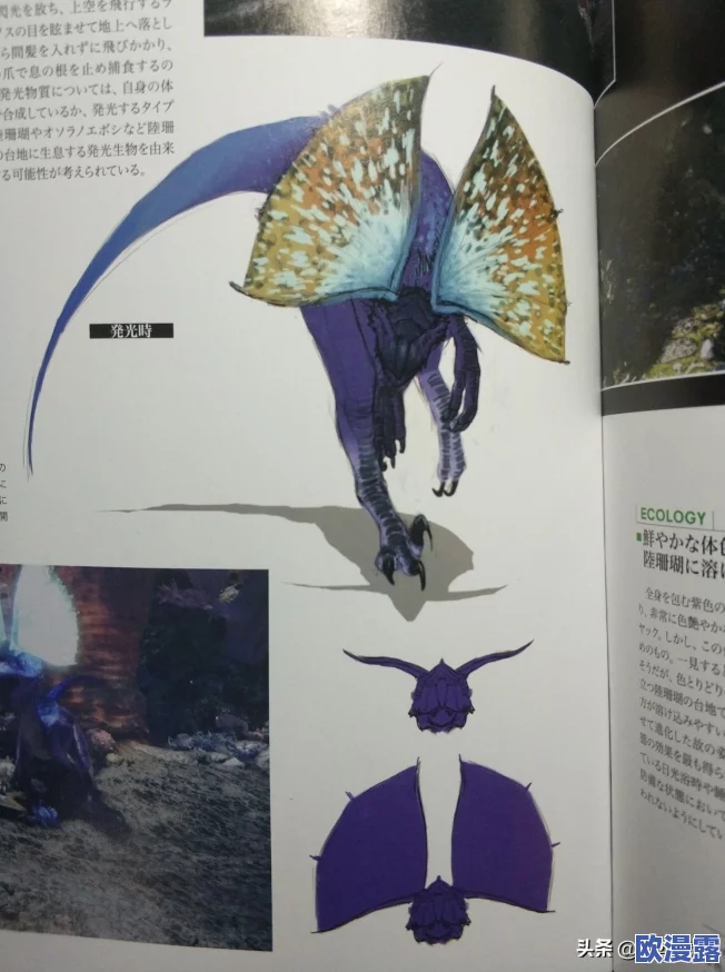 探寻怪物猎人中的眩鸟：它的栖息地与出现位置详解