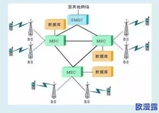 仙踪林国精产品——打造您所喜爱的健康与美丽，助力轻松生活每一天！