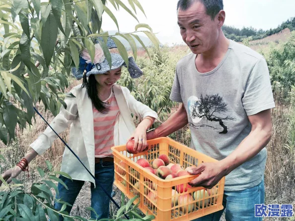水蜜桃一区二区：新一季水蜜桃丰收在即，农民们忙碌采摘，市场需求持续攀升