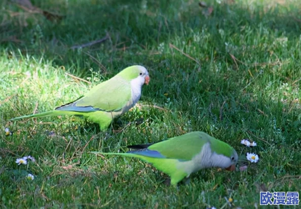 震惊!h杯奶水太多h,竟然引发了全网热议,网友们纷纷表示无法想象这样的情况会发生! 震惊!h杯奶水太多h,竟然引发了全网热议,网友们纷纷表示无法想象这样的情况会发生!