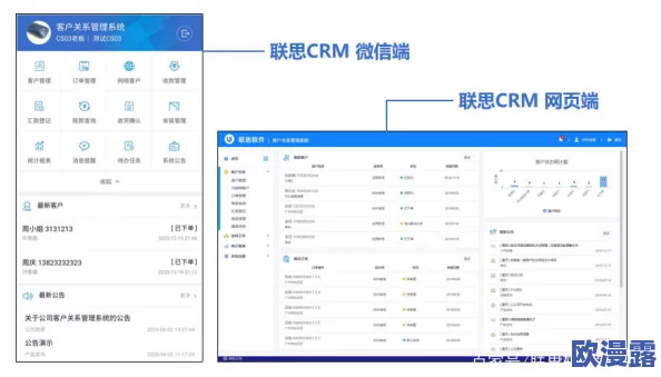 免费在线国内永久CRM：全面提升客户管理效率与业务协同的解决方案解析