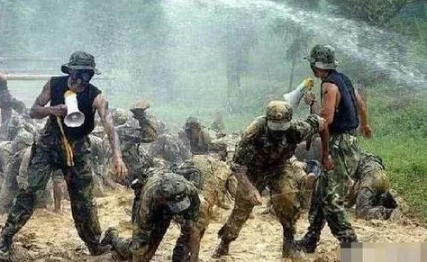 吃特种兵的大黑龙:从军事训练到生存技能的全面解析与实战应用研究 吃特种兵的大黑龙:从军事训练到生存技能的全面解析与实战应用研究