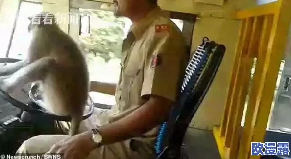 二人生猴子全程不盖被子照片,竟引发网友热议,背后隐藏着不为人知的故事! 二人生猴子全程不盖被子照片,竟引发网友热议,背后隐藏着不为人知的故事!