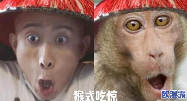 二人生猴子全程不盖被子照片,竟引发网友热议,背后隐藏着不为人知的故事! 二人生猴子全程不盖被子照片,竟引发网友热议,背后隐藏着不为人知的故事!