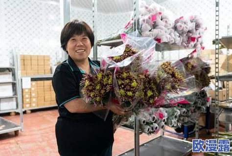 四季物语微信小游戏无限体力,震撼上线!玩家欢呼不断,畅享无限乐趣与挑战! 四季物语微信小游戏无限体力,震撼上线!玩家欢呼不断,畅享无限乐趣与挑战!