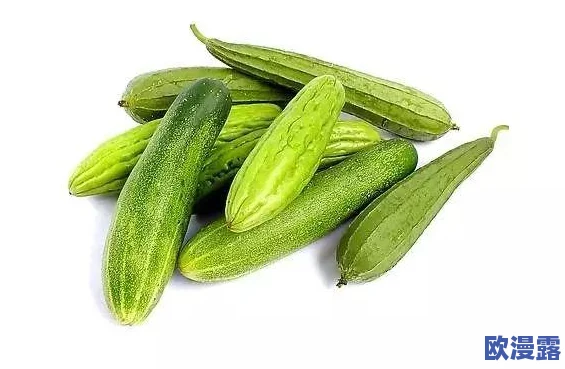 丝瓜Aaa：最新研究揭示其在健康饮食中的潜力与应用，助力提升生活质量的科学依据与实践建议