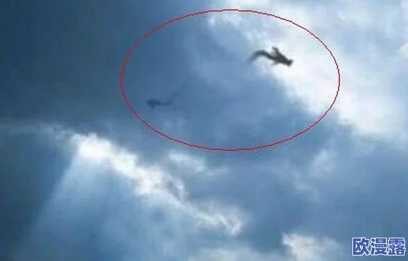 东北大坑之初试云雨，惊现神秘生物与科学怪现象，震撼全场引发热议！