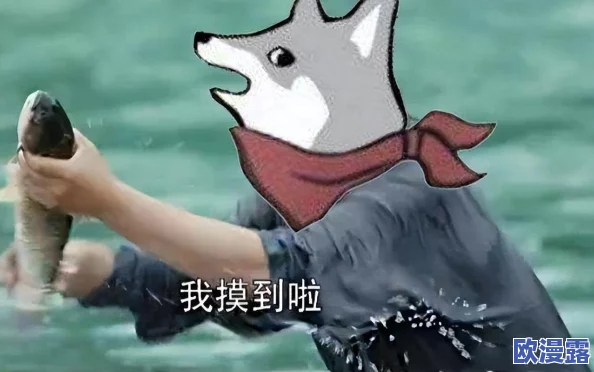 探究艾尔登法环：如何识别并了解当前游戏的版本号信息