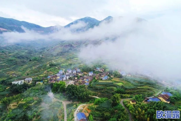 大巴车让我难忘的美好时光:回忆与旅行中的点滴感悟与人生哲理分享 大巴车让我难忘的美好时光:回忆与旅行中的点滴感悟与人生哲理分享