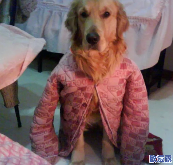 婆婆和我的狗老公怎么相处：探讨家庭关系与宠物互动对亲密关系的影响方法与建议