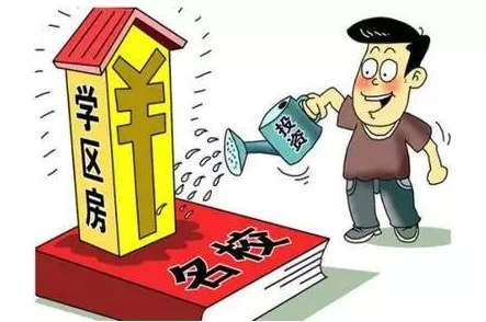 周家日常1v6：家常琐事背后的惊人秘密，竟引发全网热议！