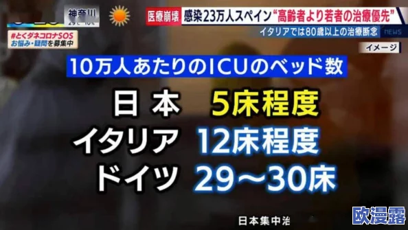日本在线不卡免费视频一区：最新动态引发热议，网友热衷讨论内容与平台发展趋势