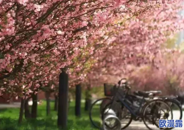 丁香八月婷婷：盛夏时节的花海绽放，带来无尽的芬芳与美丽景致