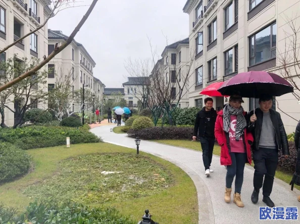 沈阳老阿姨巅峰的时候：她的故事如何激励了无数年轻人追求梦想与坚持不懈的精神