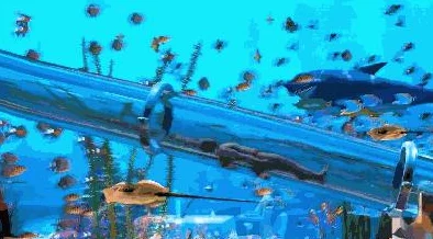 CF手游全新地图水族馆团队战制胜技巧与策略深度分享 CF手游全新地图水族馆团队战制胜技巧与策略深度分享