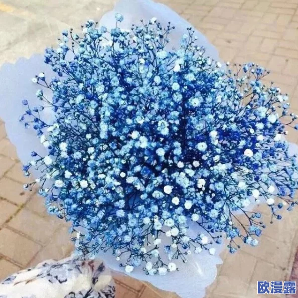 八尺夫人满天星1978年版:探讨其文化背景与艺术价值的深度分析与解读 八尺夫人满天星1978年版:探讨其文化背景与艺术价值的深度分析与解读