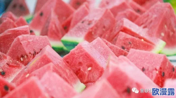 五一吃瓜网站官网入口:畅享美味,尽在这个假期的最佳选择,让你轻松获取最新资讯与活动信息! 五一吃瓜网站官网入口:畅享美味,尽在这个假期的最佳选择,让你轻松获取最新资讯与活动信息!