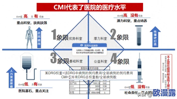 17c.cm是什么意思？深入解析这一术语的含义及其在不同领域中的应用与影响