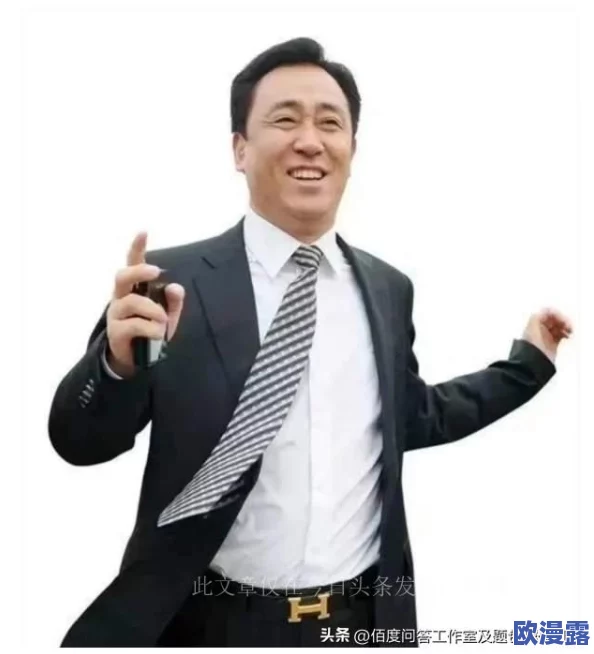 恒大许家印玩白册册小说，背后隐藏的商业秘密与市场动向引发广泛关注与讨论