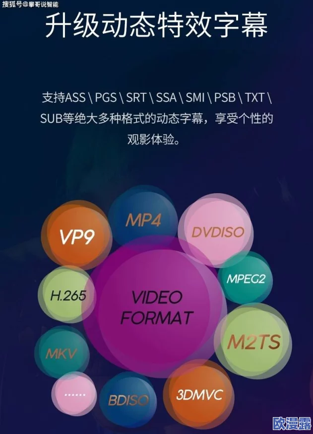 亚洲欧美在线中文字幕不卡：最新动态与用户反馈，提升观看体验的全新策略与技术分析