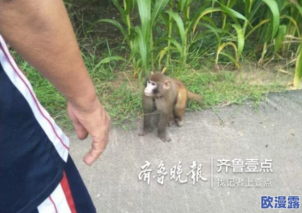 黄色哟哟哟：全球首个黄色动物园开幕，吸引数万游客争相打卡！