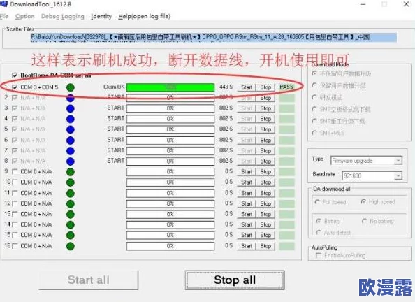 9 1破解版安装2024，最新版本下载教程及注意事项