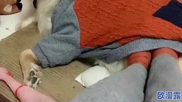 ＊扒开双腿毛茸茸的，最新动态引发热议，网友纷纷发表看法，讨论内容多样化