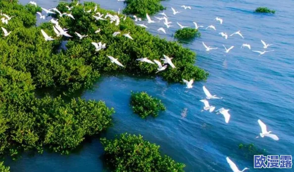 海角：新发现揭示了该地区独特的生态系统与丰富的生物多样性，吸引了众多科学家和游客前来研究与观光