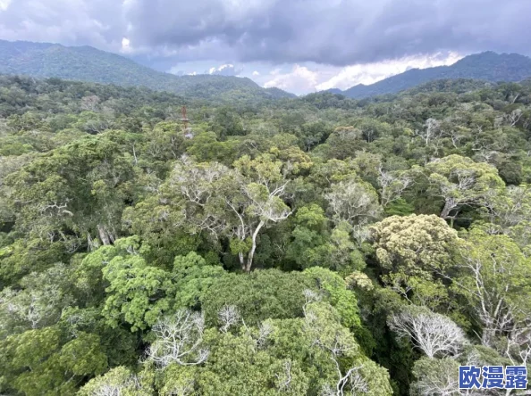 海角：新发现揭示了该地区独特的生态系统与丰富的生物多样性，吸引了众多科学家和游客前来研究与观光