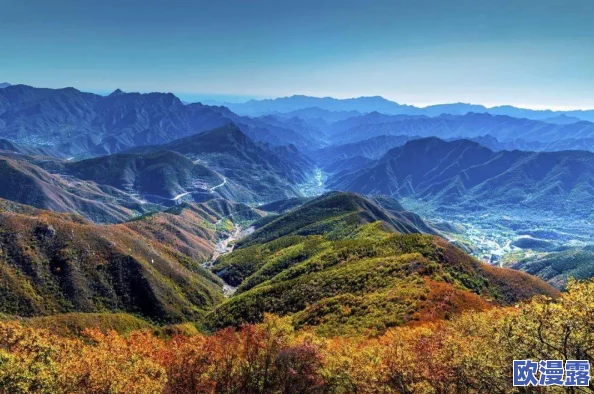 精品一:最新动态展示了品牌在产品创新和市场拓展方面的积极进展,吸引了众多消费者的关注与喜爱 精品一:最新动态展示了品牌在产品创新和市场拓展方面的积极进展,吸引了众多消费者的关注与喜爱