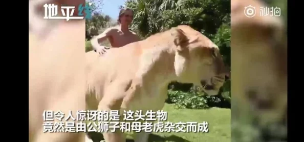 欧美人与牲口杂交在线播放免费视频引发了网友们的热议，许多人对此表示震惊和反感，认为这种内容不应被传播