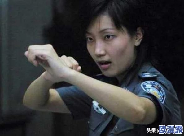 欧美无砖砖区免费政策最新进展：多国积极推动无砖区建设，促进绿色经济与可持续发展
