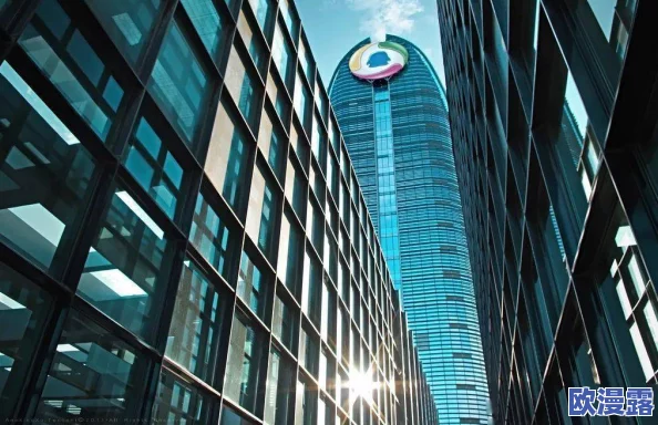 欧美videossexo肥婆：最新动态揭示了这一领域的热门趋势和观众偏好的变化，吸引了越来越多的关注与讨论