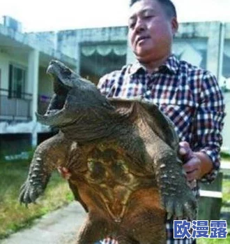 绿帽王八跪下喝尿好爽江湖行:近日,该事件引发广泛关注,网友们纷纷发表看法,讨论其背后的文化现象与社会影响 绿帽王八跪下喝尿好爽江湖行:近日,该事件引发广泛关注,网友们纷纷发表看法,讨论其背后的文化现象与社会影响